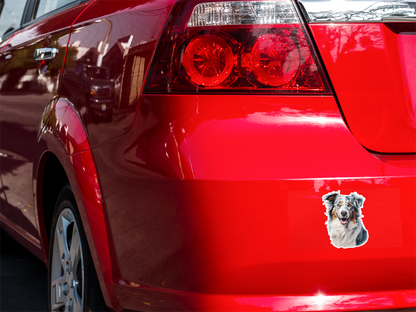 A vinyl sticker depicting an Australian Shepherd dog with a smile, featuring a colorful coat and expressive eyes.