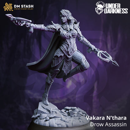 Fantasy figurine of a Drow Assassin named Vakara N'thara on a dark background with 'DM Stash' and 'Under Daughnity' branding.