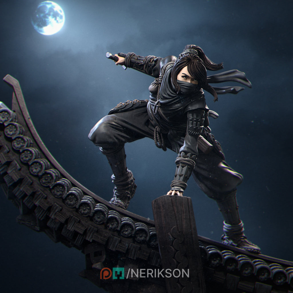 Shizuka shadow ninja 3D printed resin statue