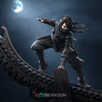 Shizuka shadow ninja 3D printed resin statue